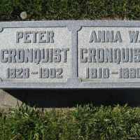 Anna Wilhelmina Wurfeldt Cronquist