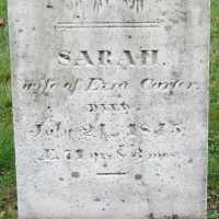Sarah Fabyan Carter